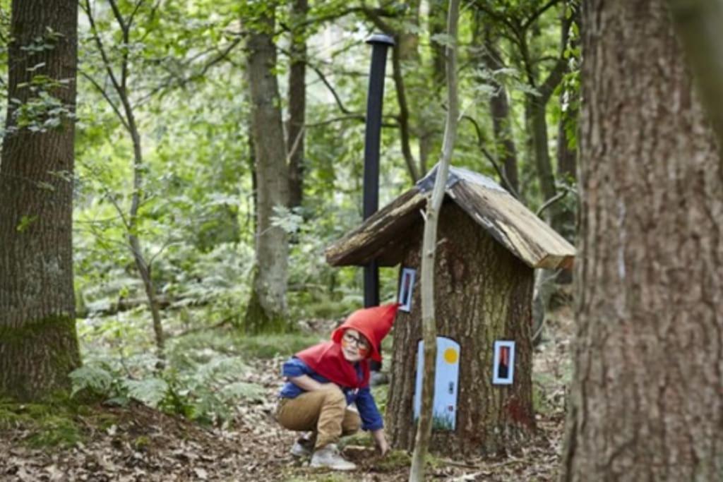 Willa Chalet Te Huur Op *****Camping Terspegelt 4 Personen Eersel Zewnętrze zdjęcie